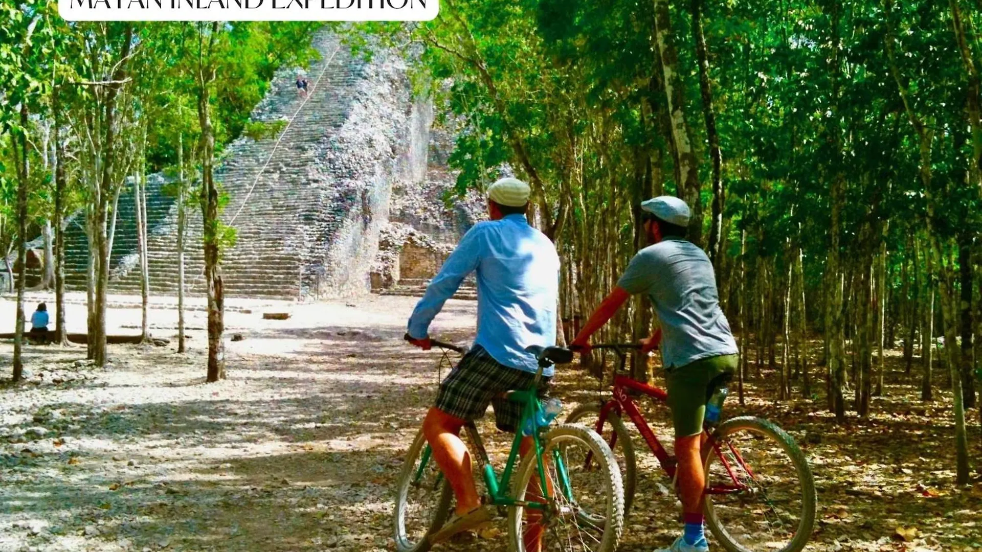 Apartment Premium Condo With Private Terrace And Pool View Tulum