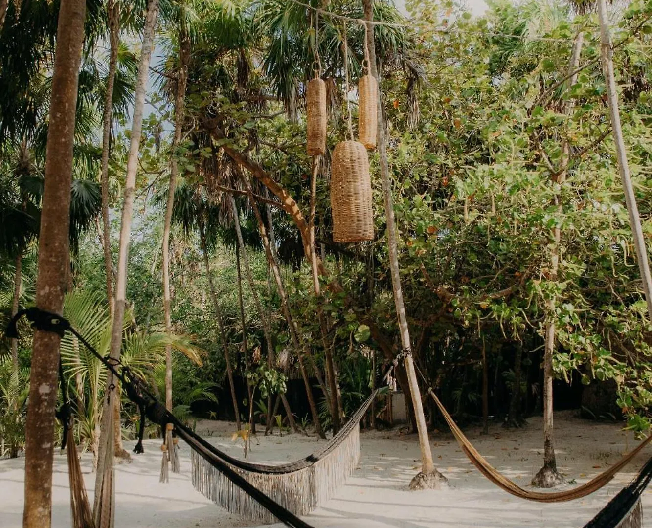 Premium Condo With Private Terrace And Pool View Apartment Tulum
